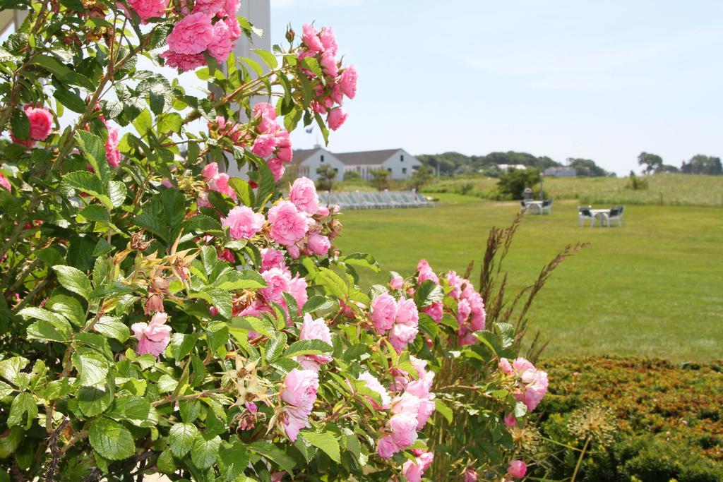 The Seaside Inn Kennebunk Exterior photo